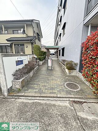 タイルと植栽が...