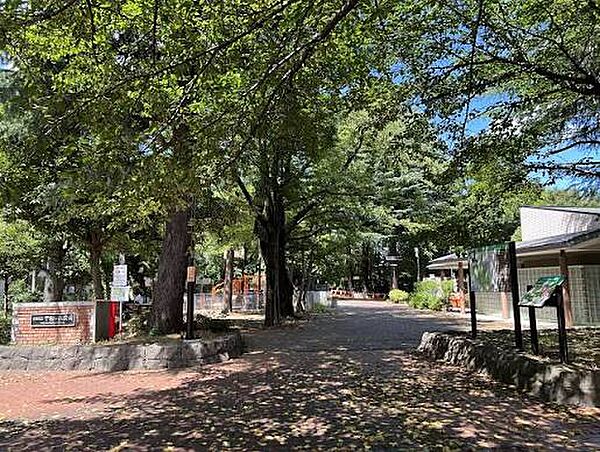 周辺を拡大表示