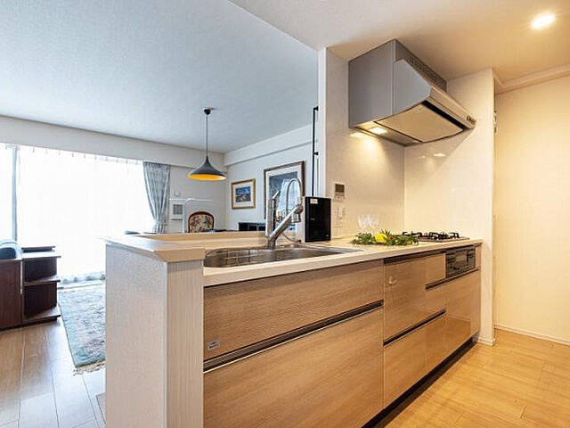 その他 レーベン守谷　ＴＨＥ　ＳＱＵＡＲＥ　ウエストコート 5階/-