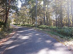 上田市 菅平高原の土地画像