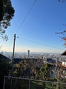 道路からの眺め