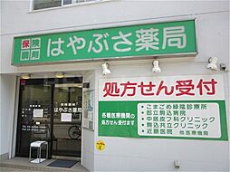 【ドラッグストア】はやぶさ薬局まで526ｍ