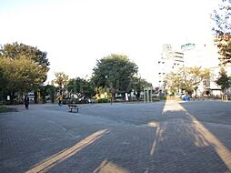 【公園】椎名町公園まで447ｍ