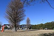 もみじ公園★子どもたちがのびのびと遊べる環境★特に、ザイルクライミングが設置されており、子どもたちに人気の遊具となっています。秋にはモミジが美しく紅葉し、訪れる人々の目を楽しませます。 620m
