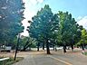 周辺：板橋区平和公園地域の憩いの場となっている公園。広々としたスペースでお子様が走り回って遊べます。公園敷地内には板橋区立中央図書館があります。 220m