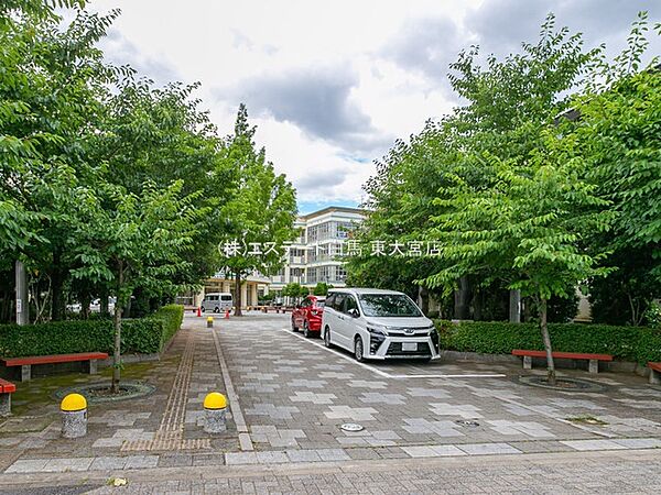 周辺を拡大表示