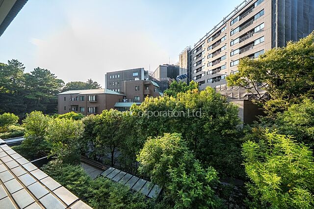 その他 南青山テラス　常盤松フォレスト 4階/-