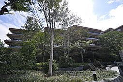外観ひき