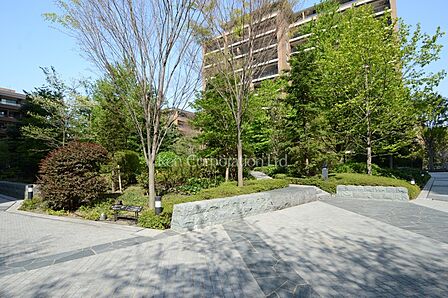 中庭・植栽