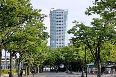 外観:外観ひき 外観:外観ひき
