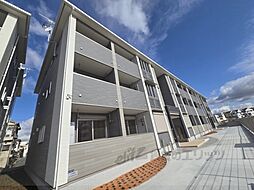 プラシードセレノカーサIV