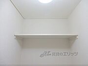 棚