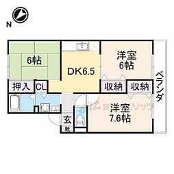 ミモザII
