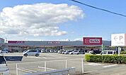 マックスバリュサンフラワー店 745m