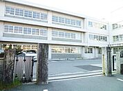 松阪市立第四小学校 1119m
