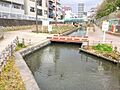 古石場川親水公...