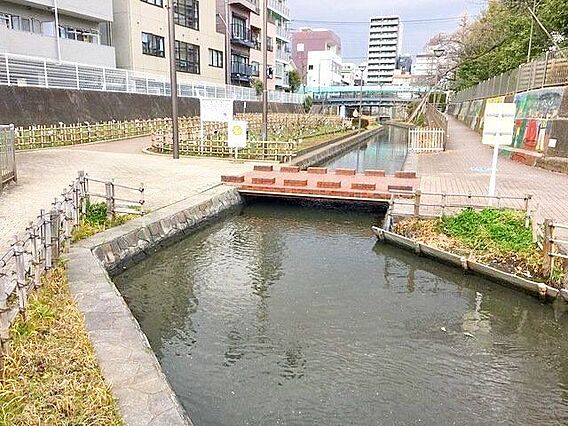 古石場川親水公...