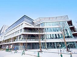 中央区立晴海西小学校 徒歩18分。 1300m