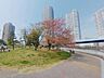 周辺：東雲水辺公園 徒歩4分。 270m