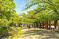中央森林公園 ...