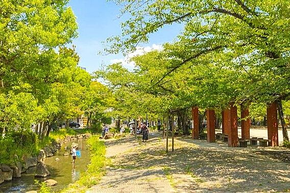 中央森林公園 ...