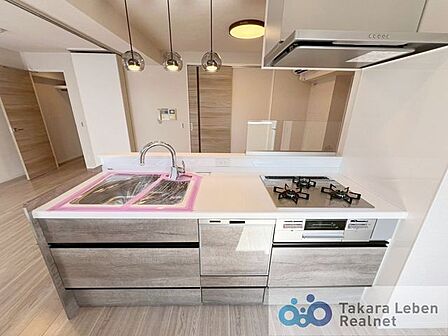 リビングを見渡せる対面式システムキッチン。家事の手間が省ける食器洗浄機付きです。