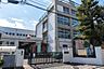 周辺：目黒区立五本木小学校 徒歩7分。 550m