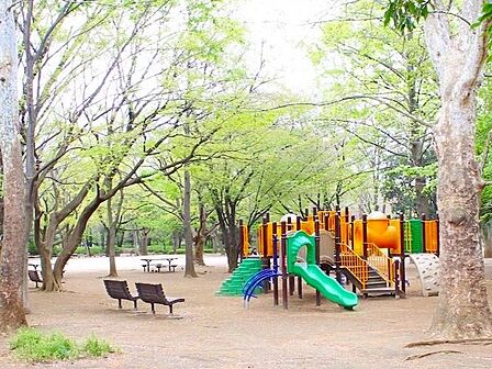 井草森公園 徒歩12分。 920m