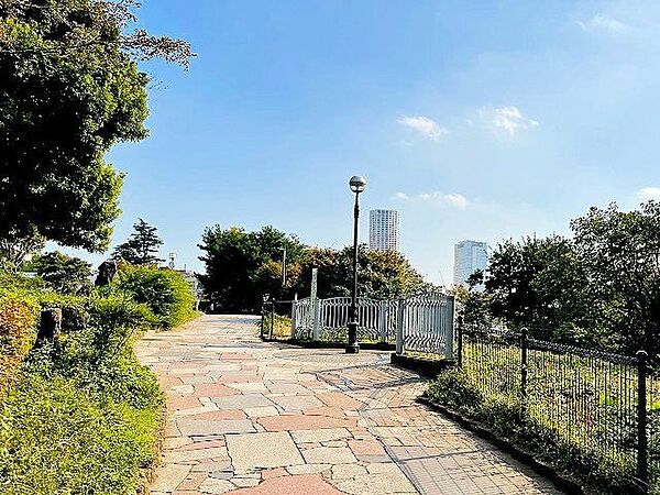 周辺を拡大表示