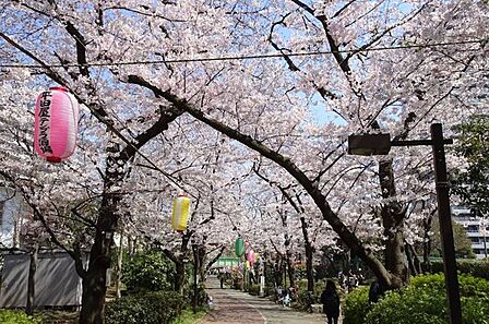 南砂緑道公園 徒歩6分。 430m