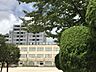 周辺：品川区立城南第二小学校 徒歩14分。 1050m