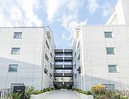 東京メトロ南北線 目黒駅 徒歩6分の賃貸マンション