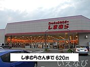 しまむら 620m
