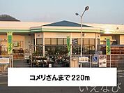 コメリ 220m