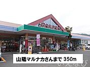 山陽マルナカ 350m