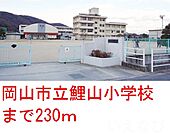 岡山市立  鯉山小学校 230m