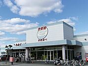 わたなべ生鮮館下中野店 486m