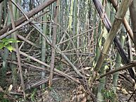 福岡県築上郡上毛町大字宇野1188番：物件画像