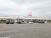 カワチ薬品伊勢崎店 1359m