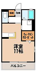 カルテエム 1階/-