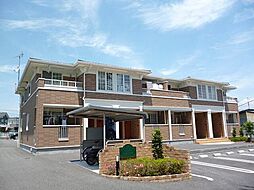 ファレノプシス