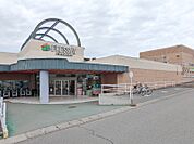 フレッセイ大胡店 231m