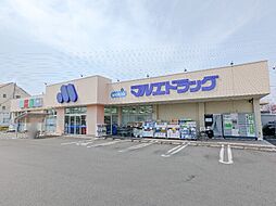 マルエドラッグ高崎新保店 600m
