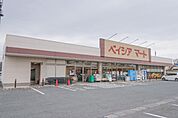 ベイシアマート伊勢崎国定店 1439m