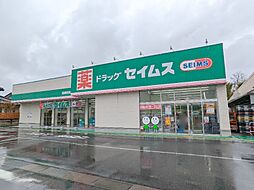 ドラッグセイムス高崎群馬町店 512m
