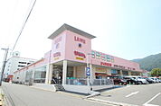 ドラックストア「ウォンツ八木城南店まで728ｍ」