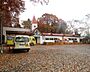 周辺：幼稚園・保育園 500m あおば幼稚園