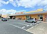 周辺：ドラッグセガミ朱雀店 780m