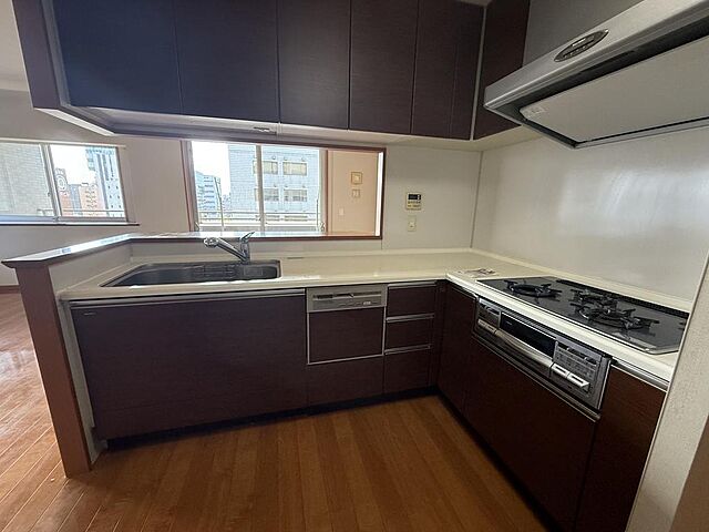 キッチン Dクラディア高見馬場 8階/-