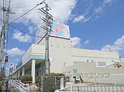 万代　菜畑店まで260メートル